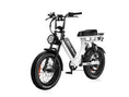 Load image into Gallery viewer, Roll-Road-EMMA-moped-style-ebike-long-range-step-thru-ebike-for-heavy-rider-1