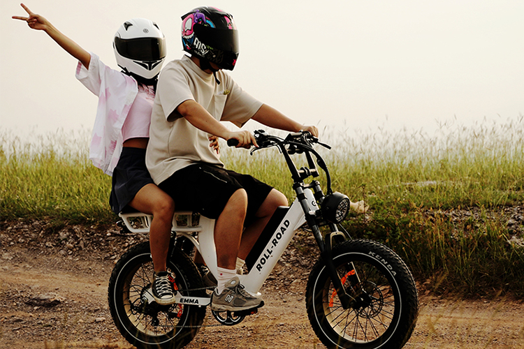 Compare Ebike: Roll Road Emma 2.0 VS Juiced Scorpion X2