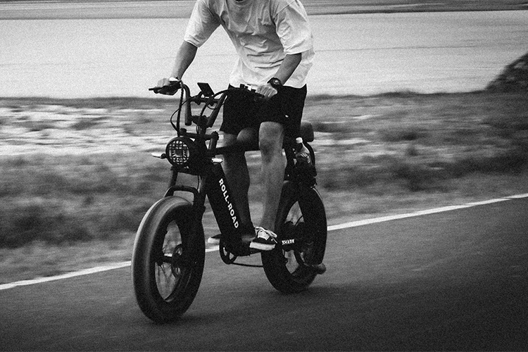 Unleashing the Beast - A 1000W Moped Style Ebike