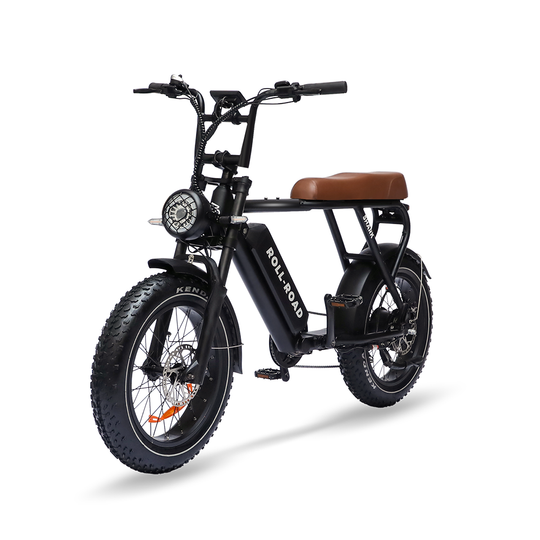 For 450 Lbs Moped Ebike Shark 2