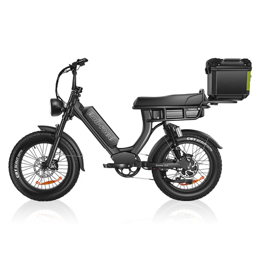 EMMA 3.0 Dual Battery long range Ebike 9