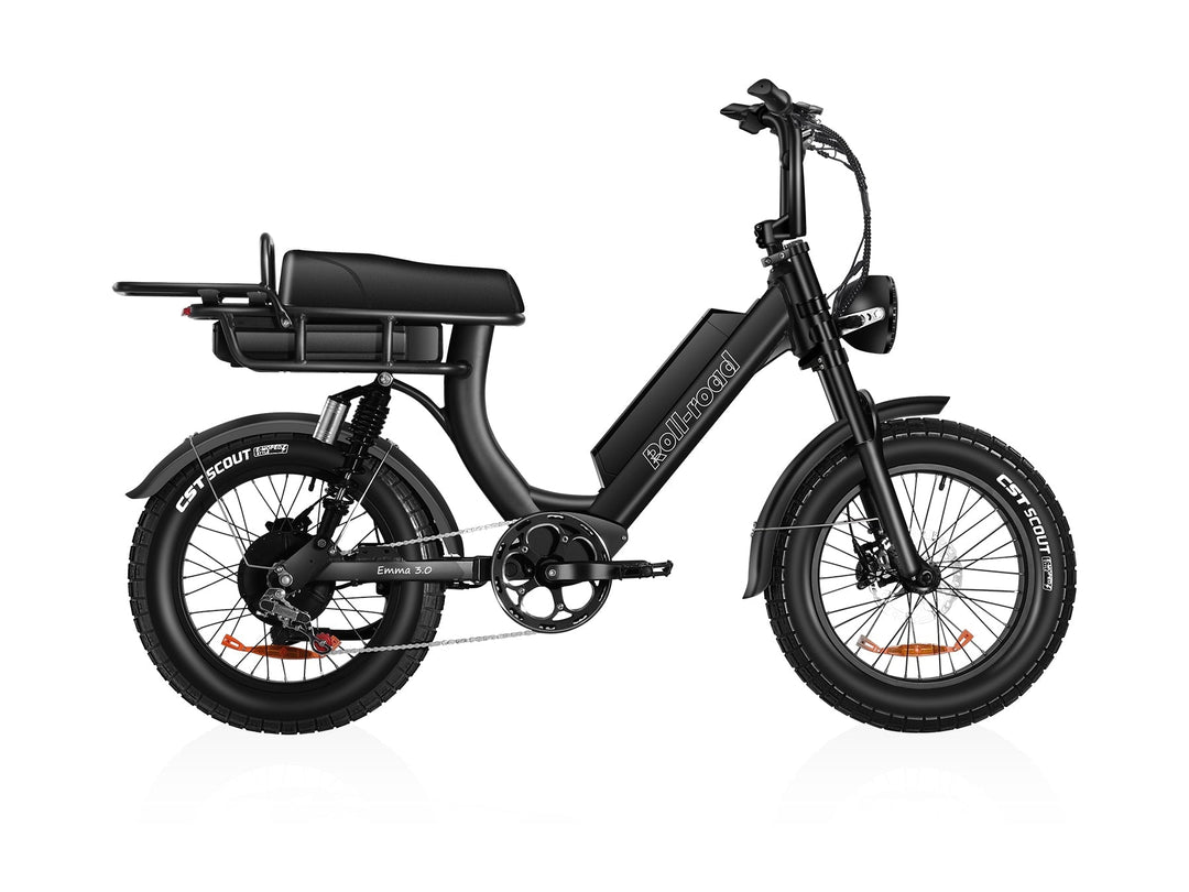 EMMA 3.0 Step-Through Ebike For Seniors 