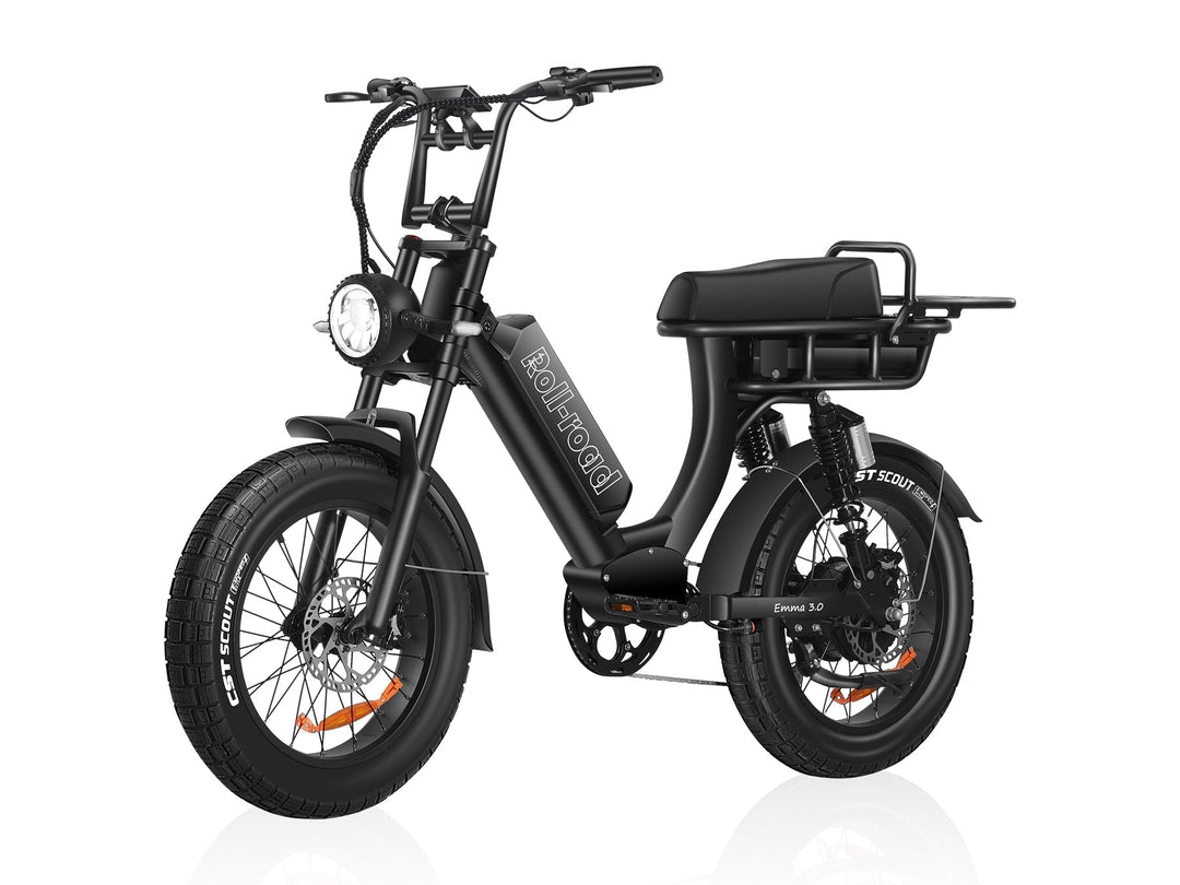 EMMA 3.0 Ebike With Comfortable Seat