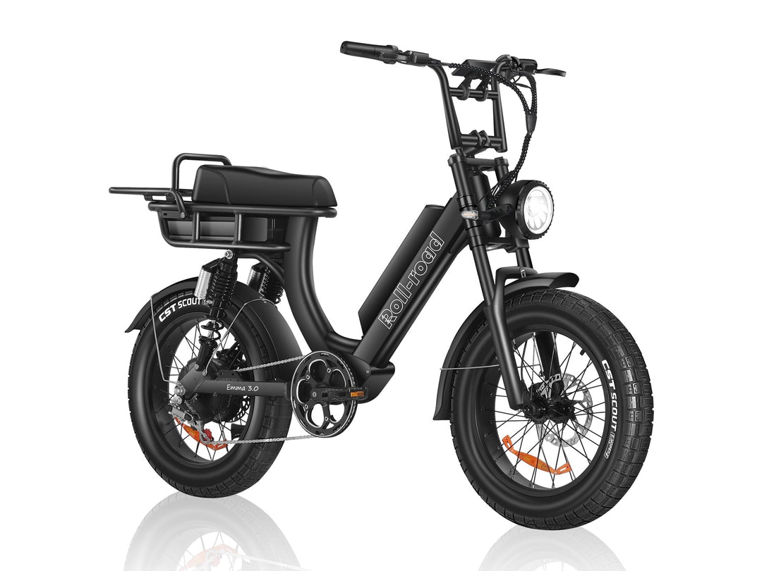 EMMA 3.0 Dual Battery long range Ebike 4