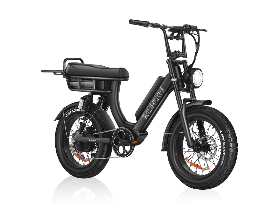 EMMA 3.0 Dual Battery long range Ebike 7