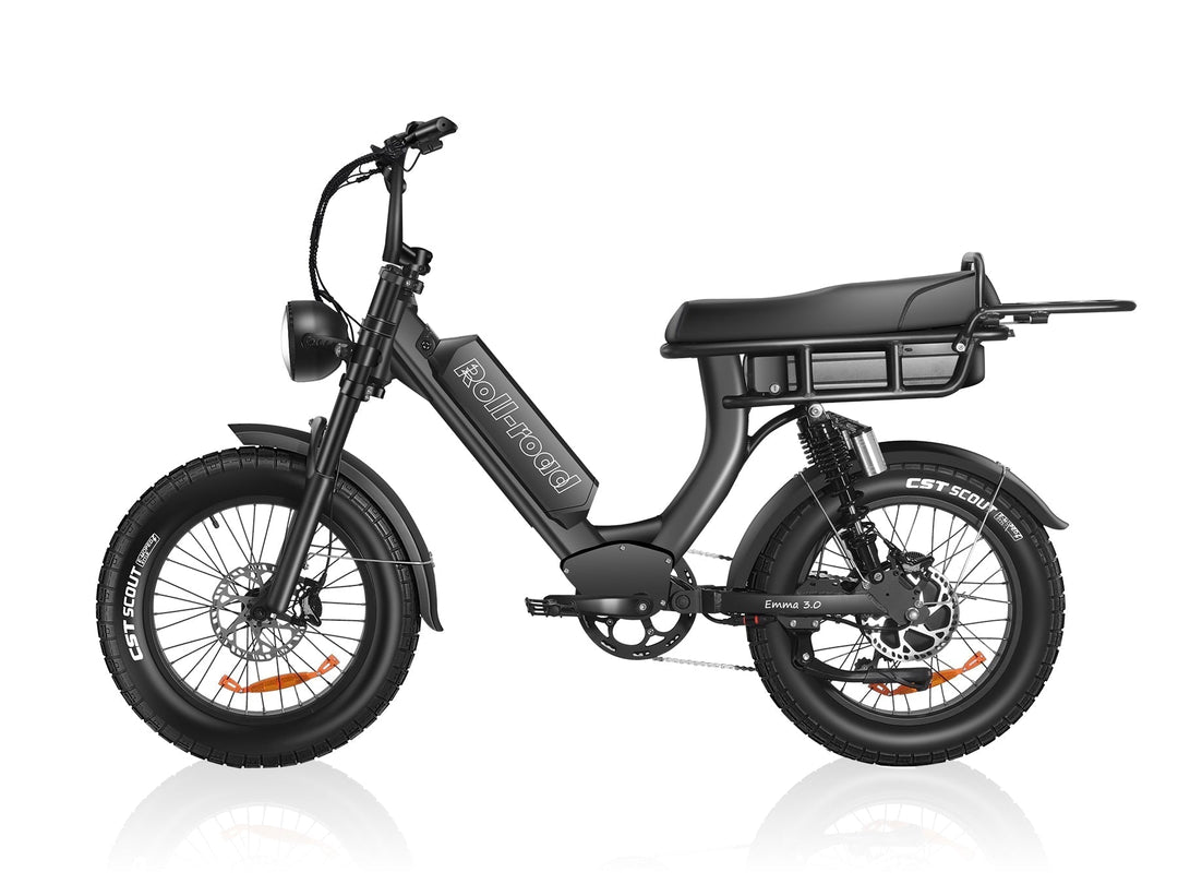 EMMA 3.0 Fat Tire Full Suspension Ebike