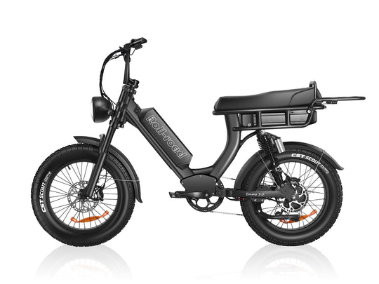 EMMA 3.0 Dual Battery long range Ebike 6