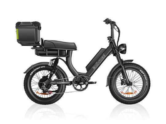 EMMA 3.0 Ebike With Comfortable Seat