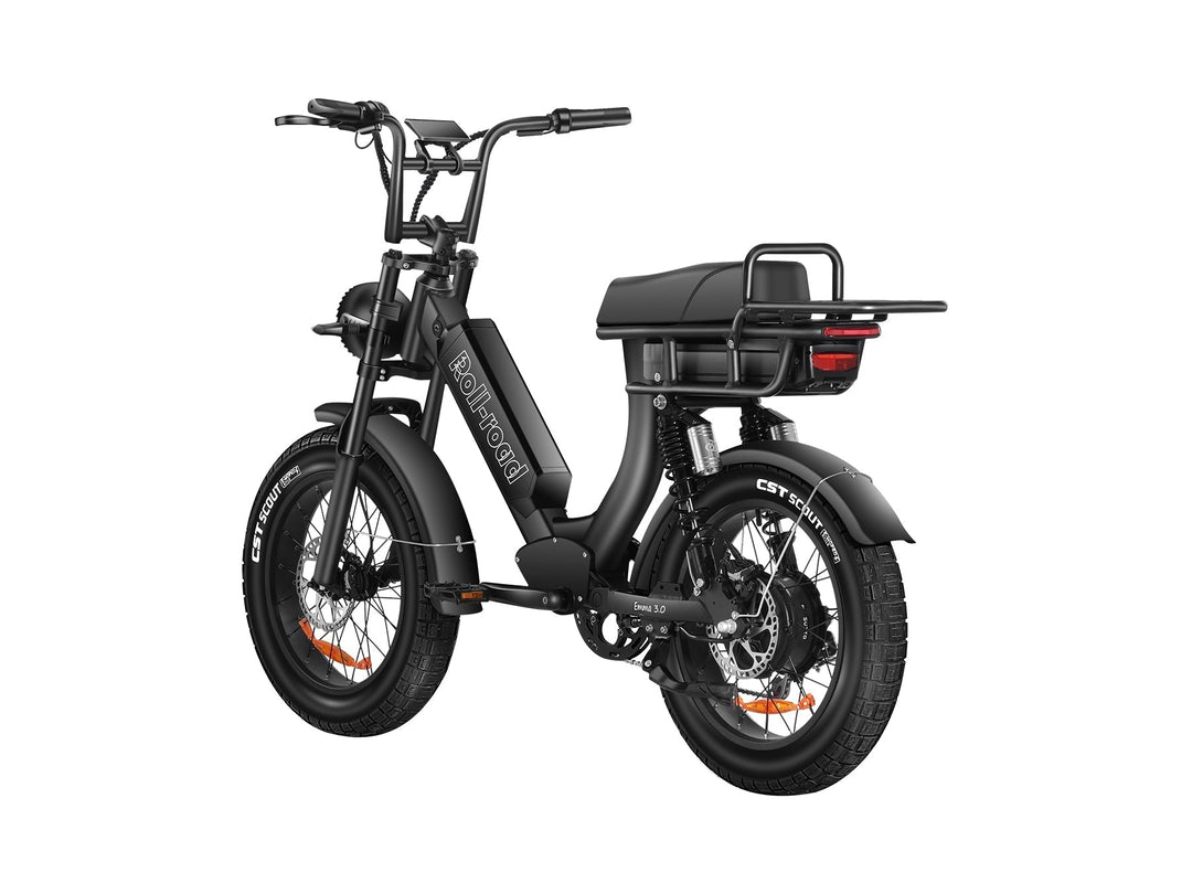 EMMA 3.0 Fat Tire Full Suspension Ebike