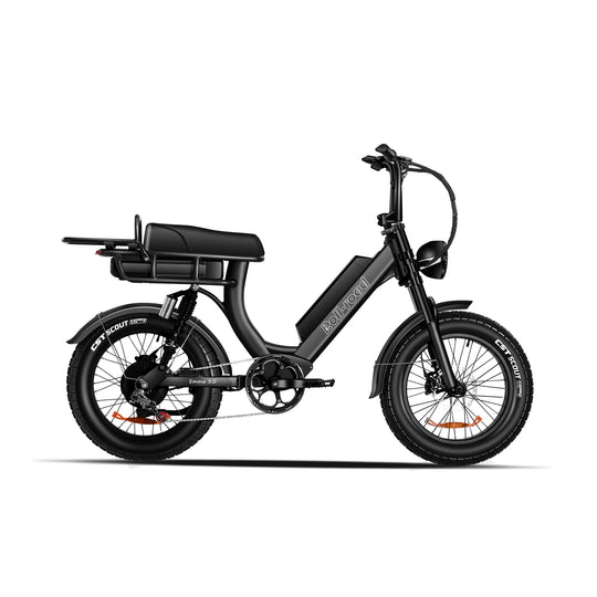 
Emma 3.0 Electric Bike Long Range Dual-Battery black color - au.roll-road.com