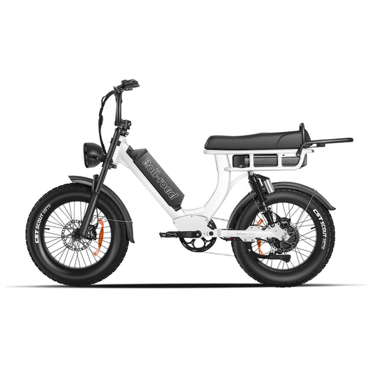 Emma 3.0 Electric Bike Long Range 2-person Seat white color - au.roll-road.com