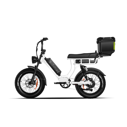 Emma 3.0 Electric Bike Long Range 2-person Seat cargo trunk white color - au.roll-road.com